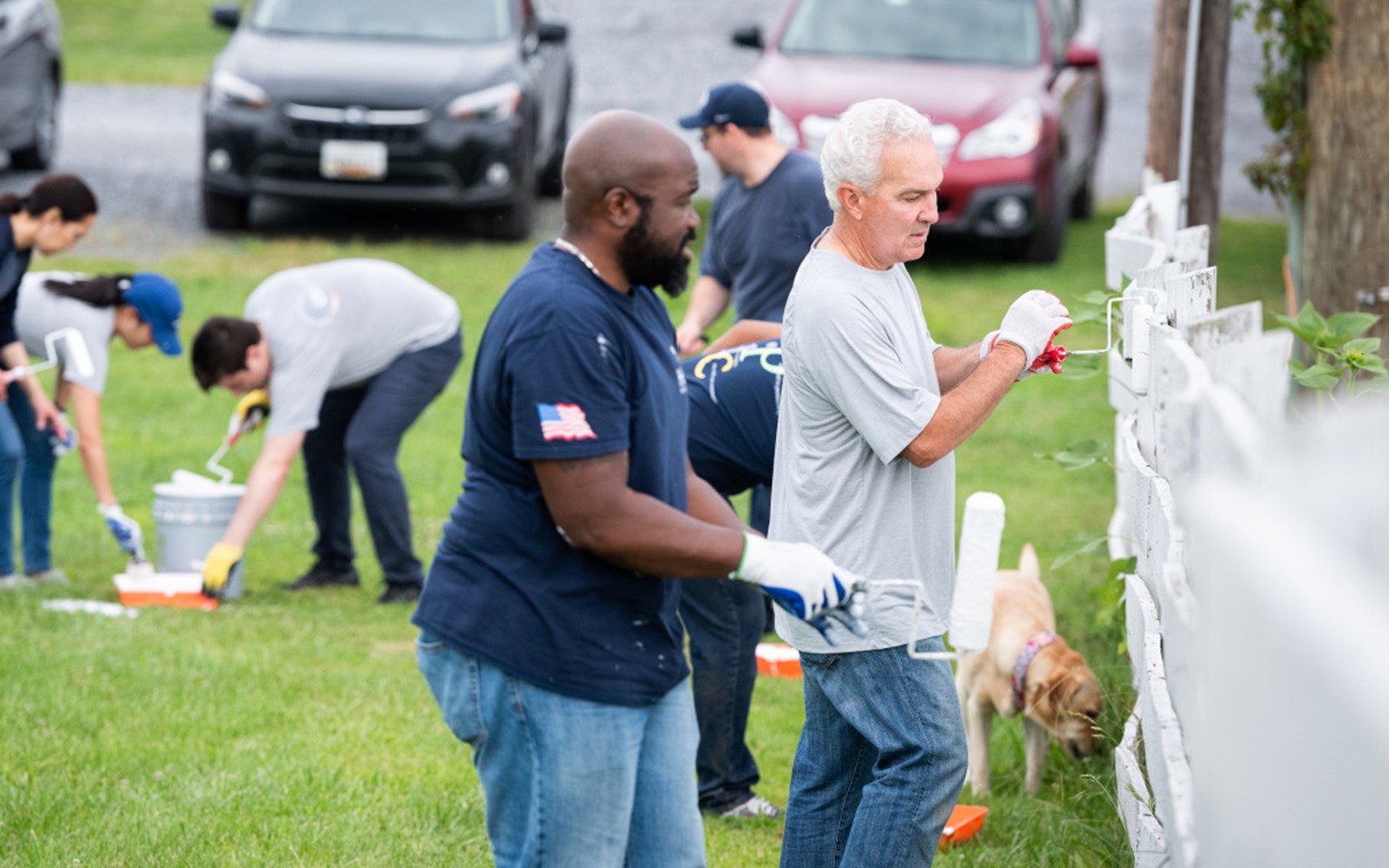 Volunteers painted, helped with some gardening, and played with puppies.