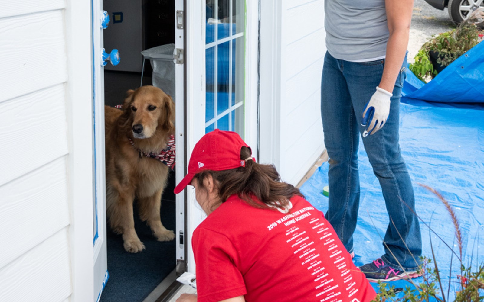 Volunteers painted, helped with some gardening, and played with puppies.