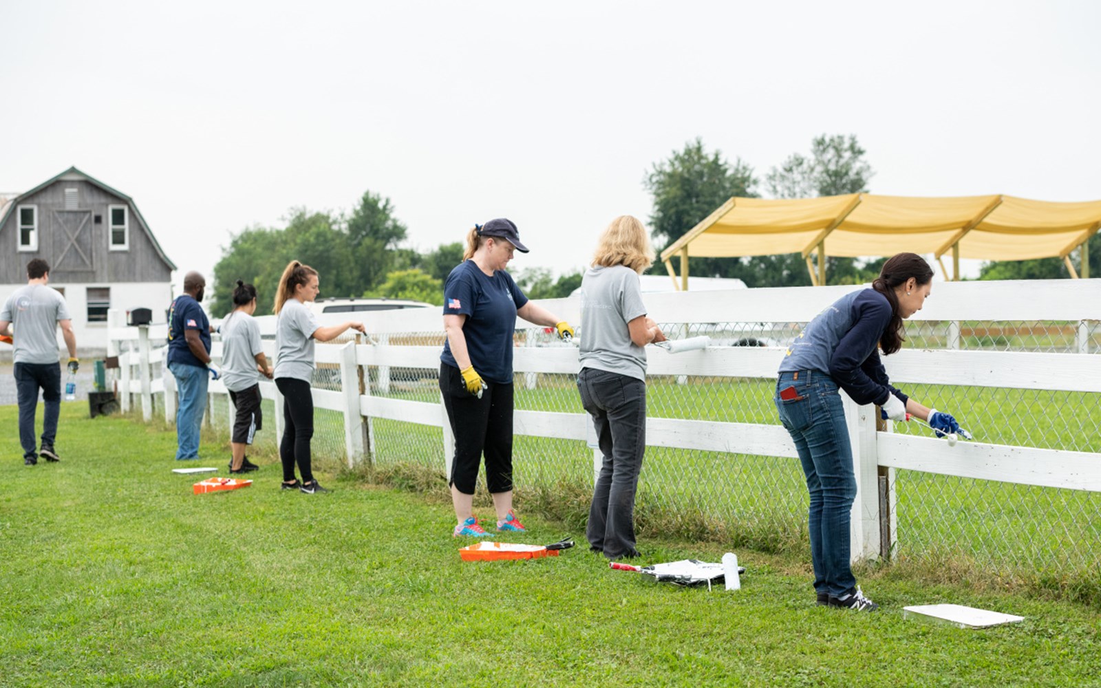 Volunteers painted, helped with some gardening, and played with puppies.