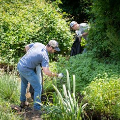 Project Clean Stream