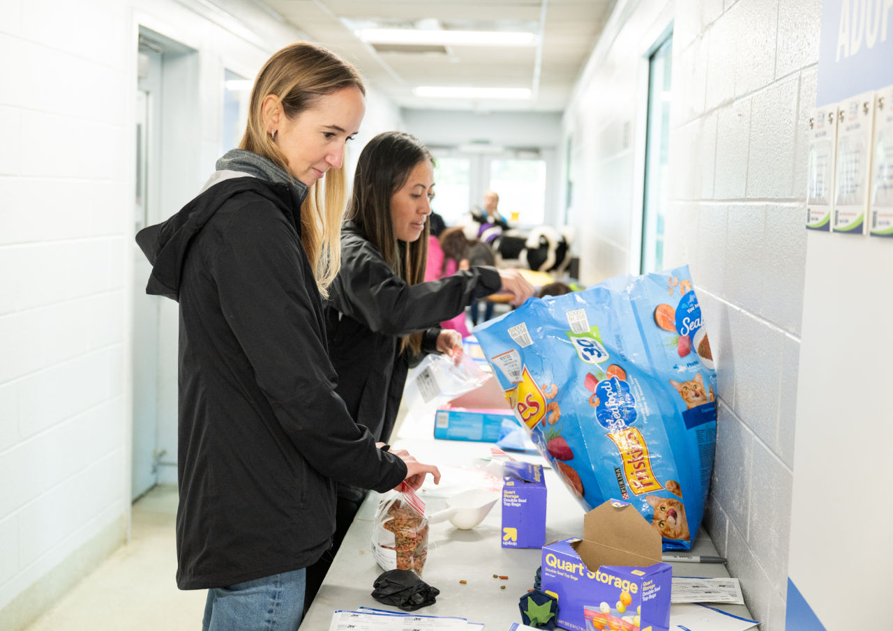 Animal Welfare League of Alexandria