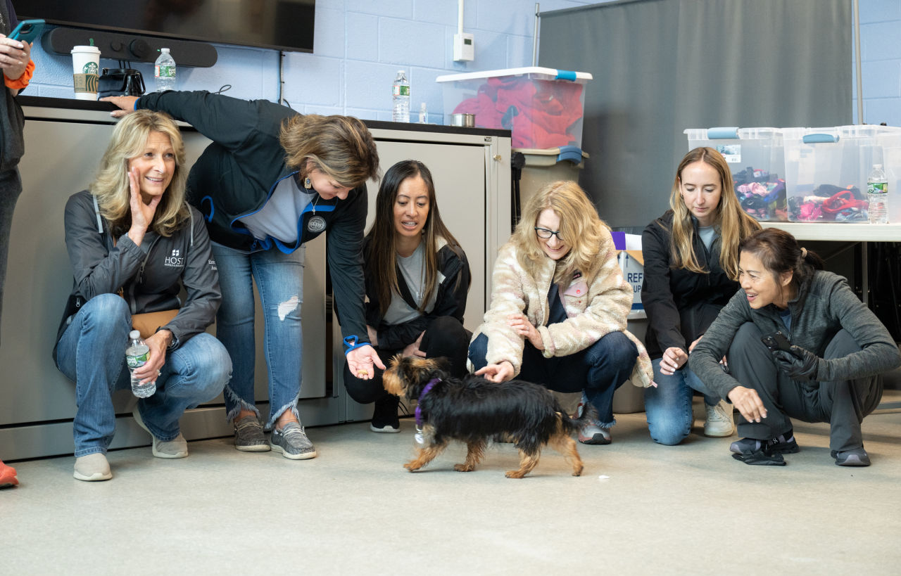 Animal Welfare League of Alexandria