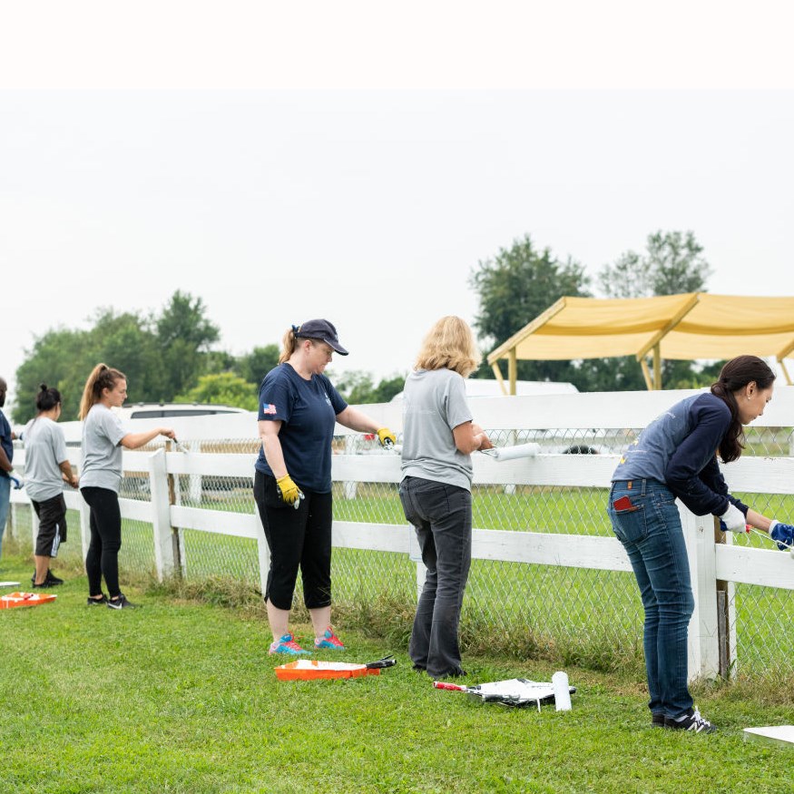 Warrior Canine Connection