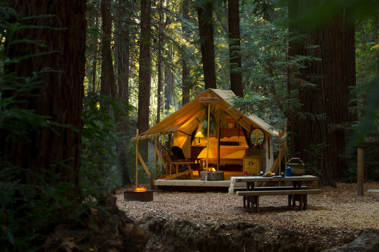 Redwood Glampsite