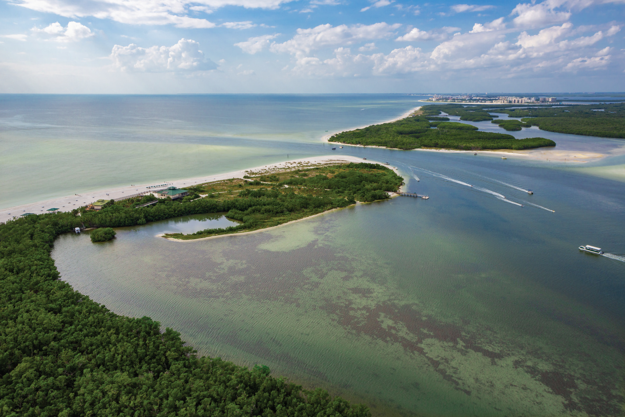 Aerial View of the Beach